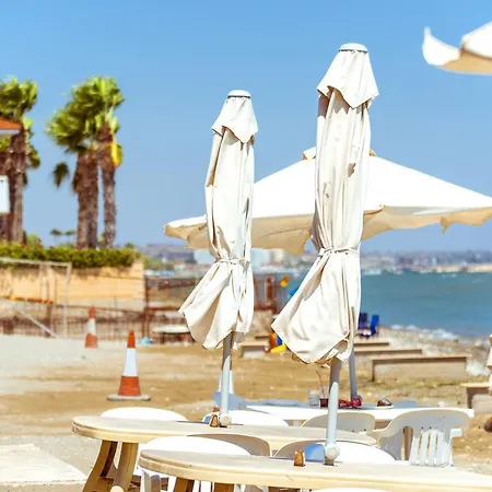 Color Cyprus Amozoniu *